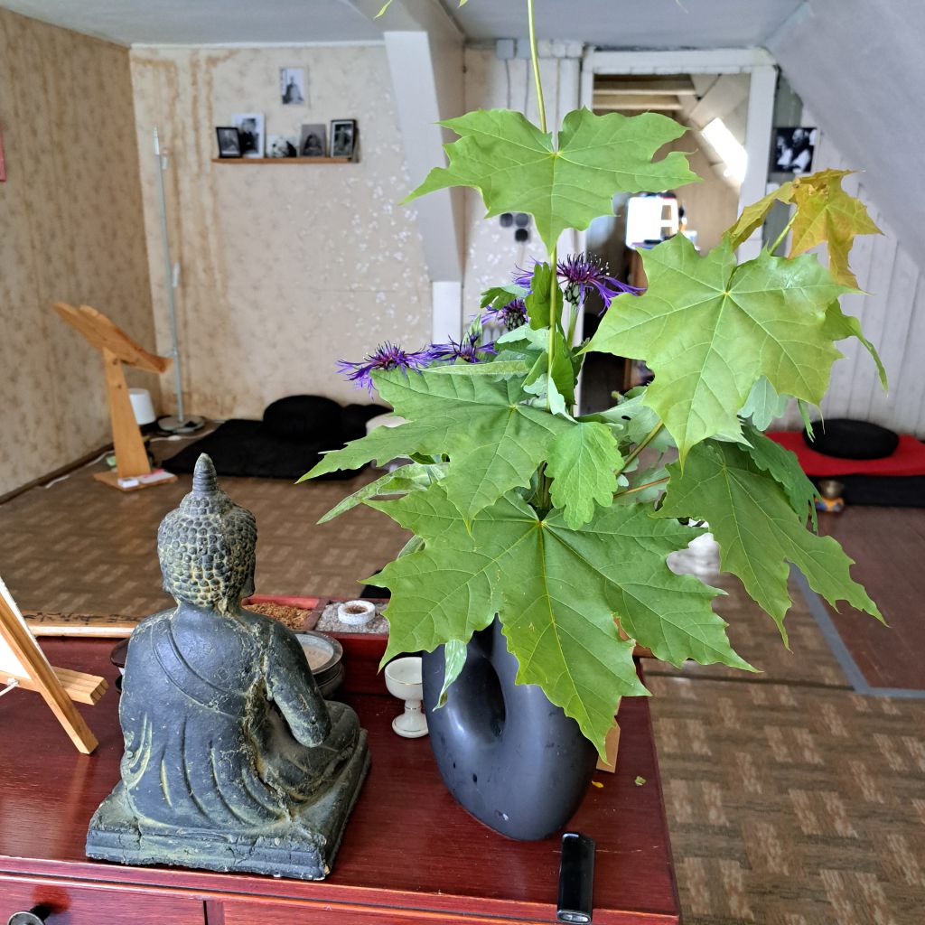 Zimmer in einem Haus, Budda-Figur auf einem Altar mit Ahornblätterstrauß